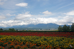 FarmTomita_04
