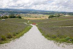 HinodePark_02