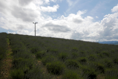 HinodePark_03