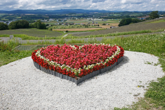 HinodePark_04