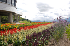 HinodePark_07