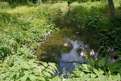 Obihiro_04