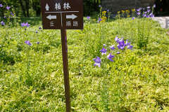 Obihiro_07