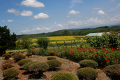 ZerubuHill_06